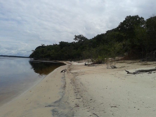 Terreno em Barcelos - Foto 2