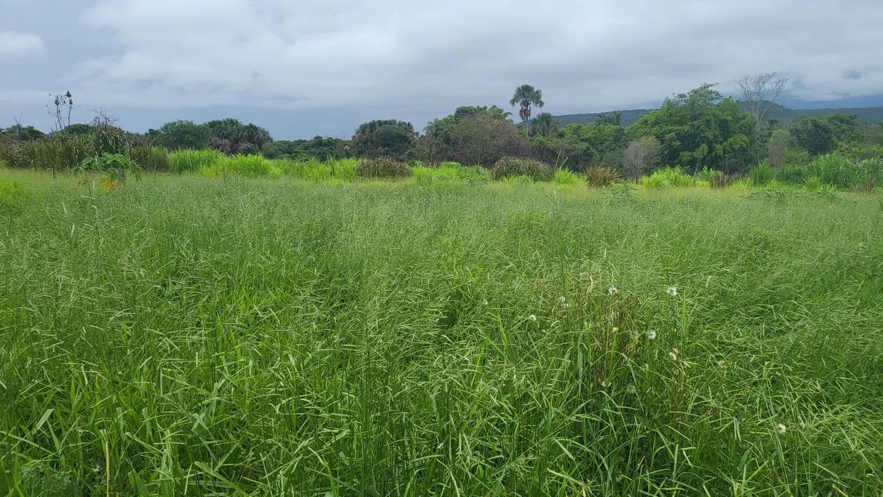 Ex chácara em planaltina df