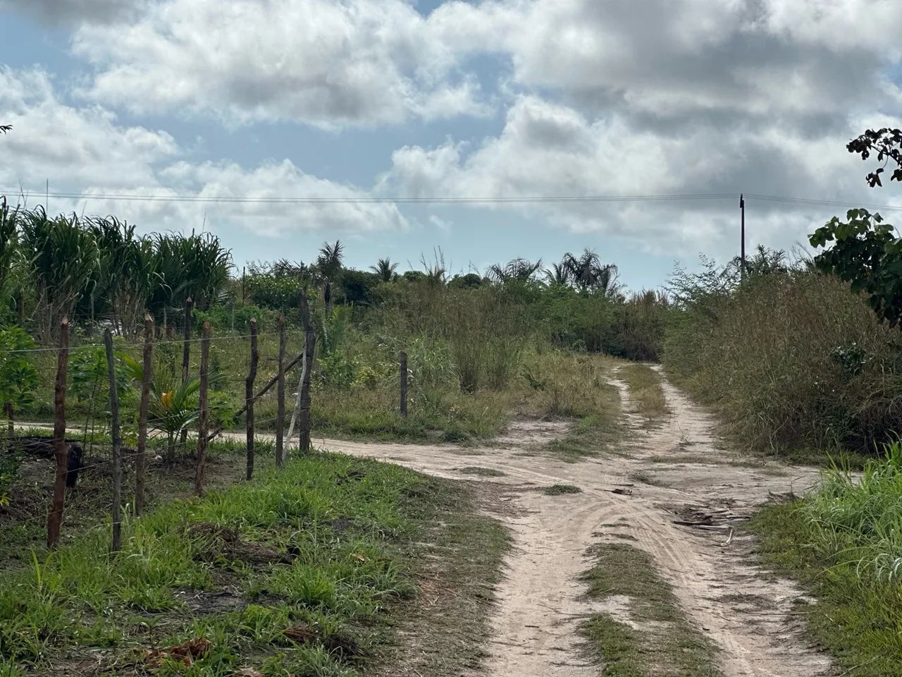 foto - São Luís - Araçagi