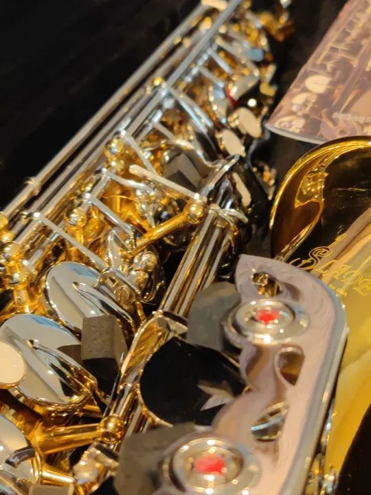 Sax Alto Novo Líder Absoluto em Vendas de Saxofones na OLX - Foto 3