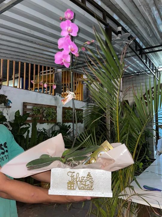 Flores naturais - Foto 6