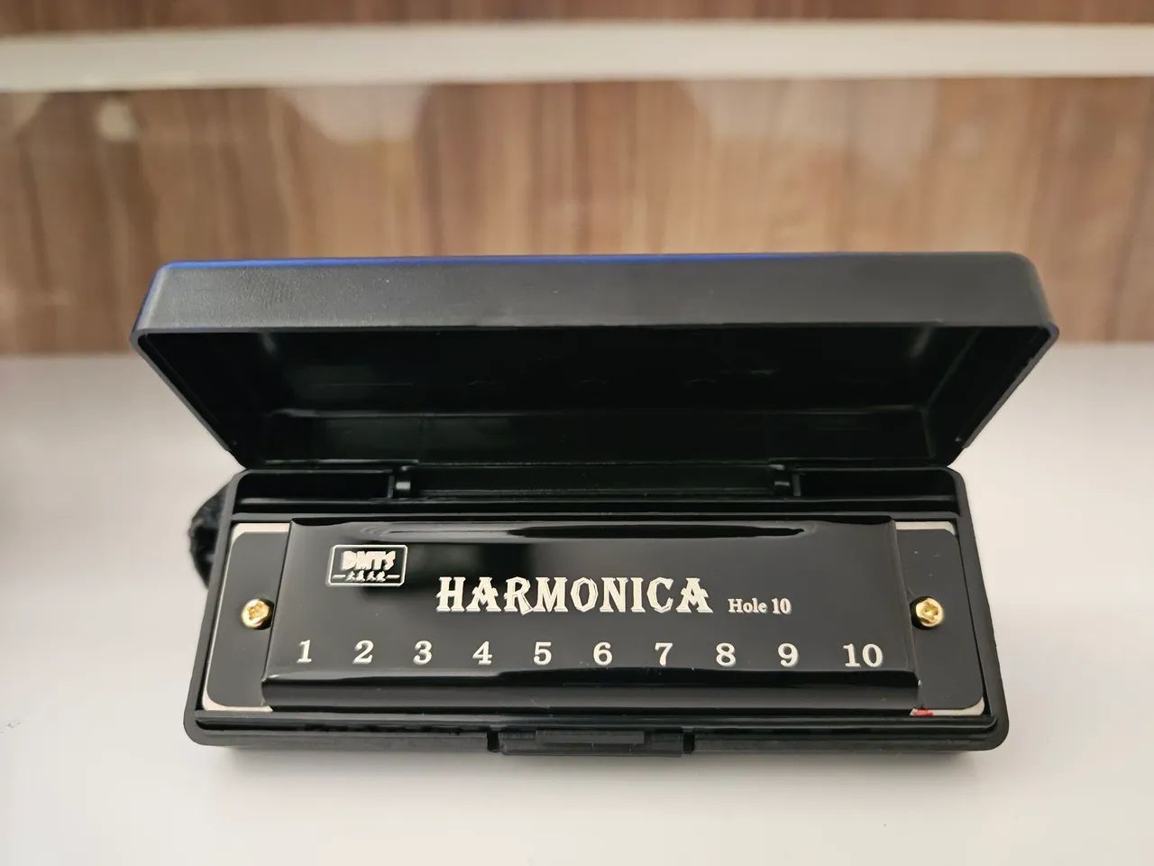 GAITA Harmônica 10 Furos DMTS