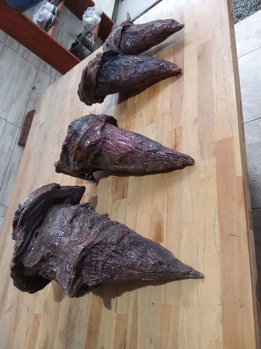 Nó de pinheiro prá decoração 