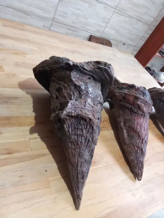 Nó de pinheiro prá decoração  - Foto 2