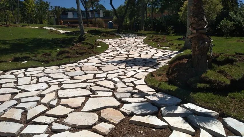 Cacão Para Jardins - Cacão São Tomé Legitima -  - Foto 3