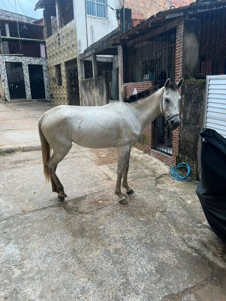 PORDA DE SEGUNDA MUDA: PARA VENDER.