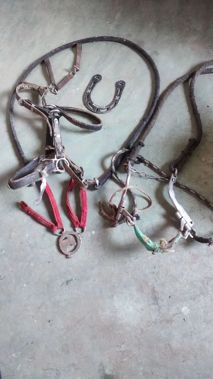 Vendo cabresto de cavalo - Foto 3