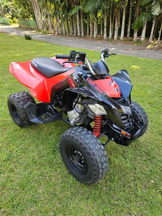 Quadriciclo Can-Am DS 250
