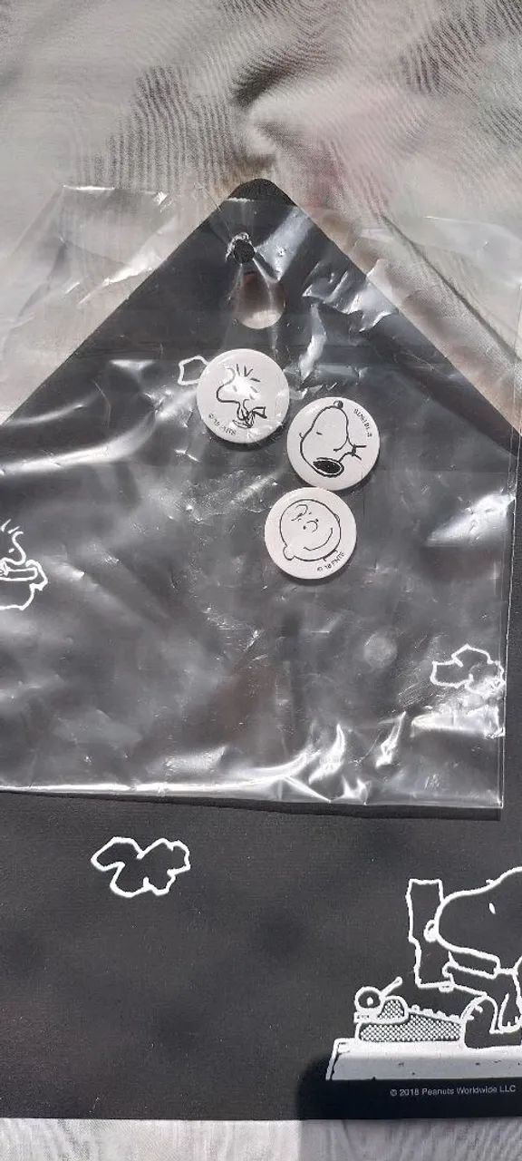 Quadro Magnético Snoopy - Hobbies e coleções - Vila Moraes, São