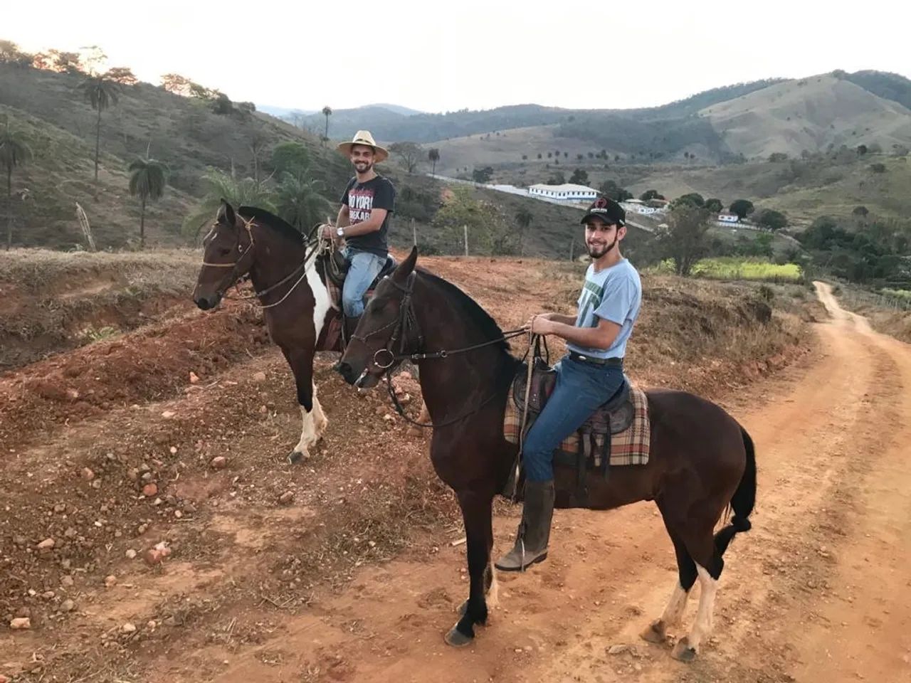 Cavalo Mangalarga Machador - Marcha Batida - Foto 2