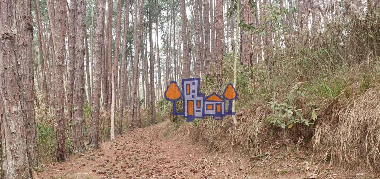 Terreno à venda, 156125 m² por R$ 750.000,00 - Campo do Coelho - Nova Friburgo/RJ - Foto 5