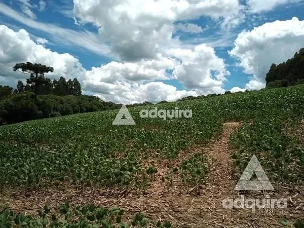 Chácara à venda 17545M², Centro, Palmeira - PR