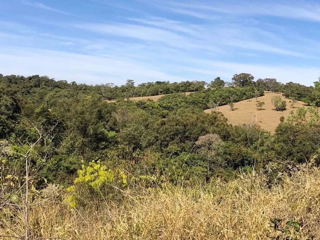 Sítio à Venda em Perdizes/MG com 3,50 Alqueires - Foto 3