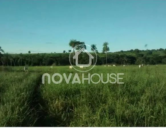 FAZENDA MUNICÍPIO RIBEIRÃO CASCALHEIRA MT PRÓXIMO A QUERÊNCIA: - Foto 4