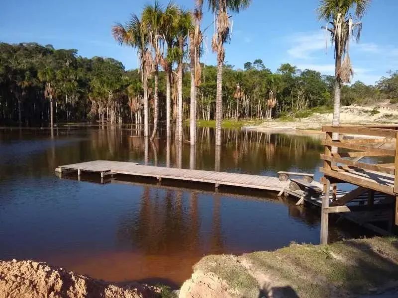 Chacara em Itacoatia no Amazonas - Foto 5