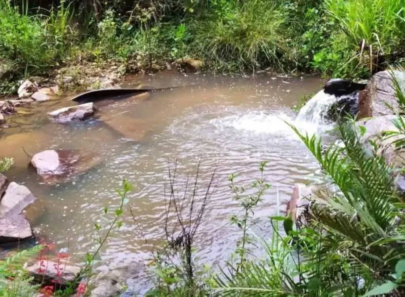 Sítio : / Rural / Zona Rural - Foto 4