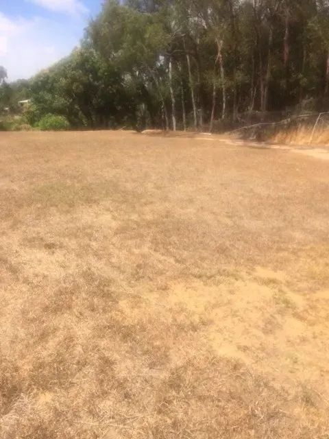 Área/Terreno 9.445m2 Ótimo para Construir Apartamentos em Jardim Atlântico Ac. Imóvel - Foto 10