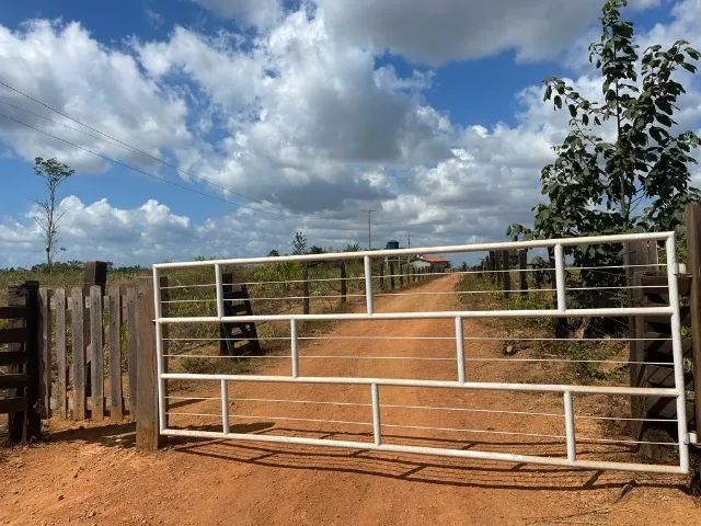 Fazenda Buriticupu-MA / 40 Alqueire - Foto 3