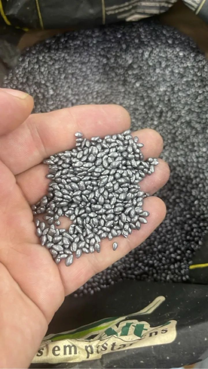 VENDO SEMENTE DE PASTAGEM 