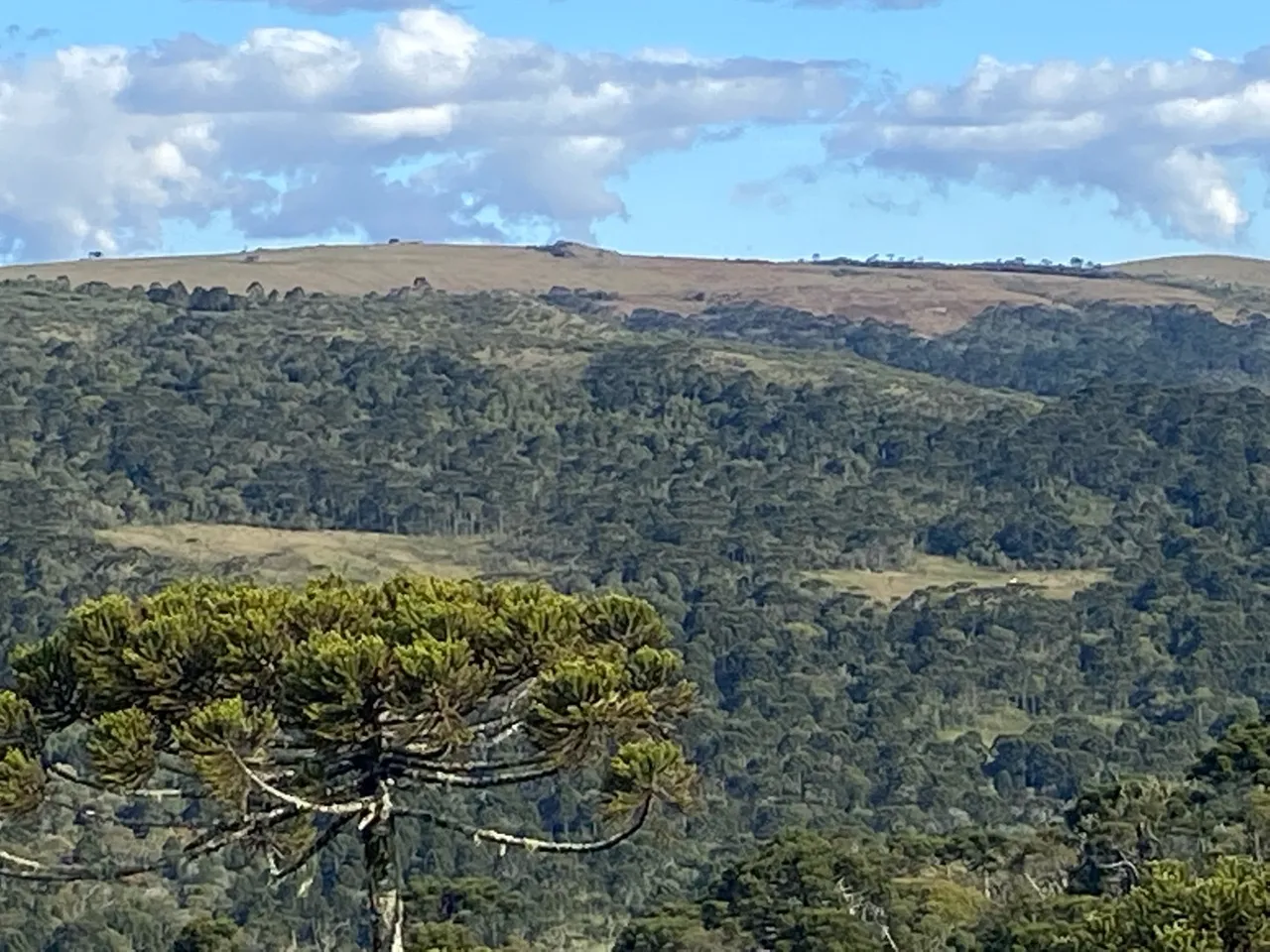 Sítio 100 hectares em Urubici - 30%+ 36X