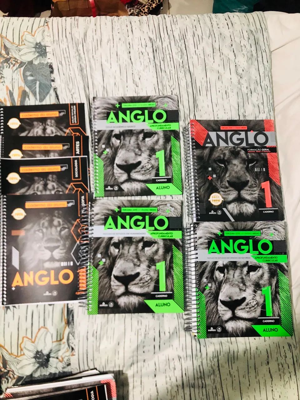 Coleção ângulo 3 ano do ensino médio  - Foto 5