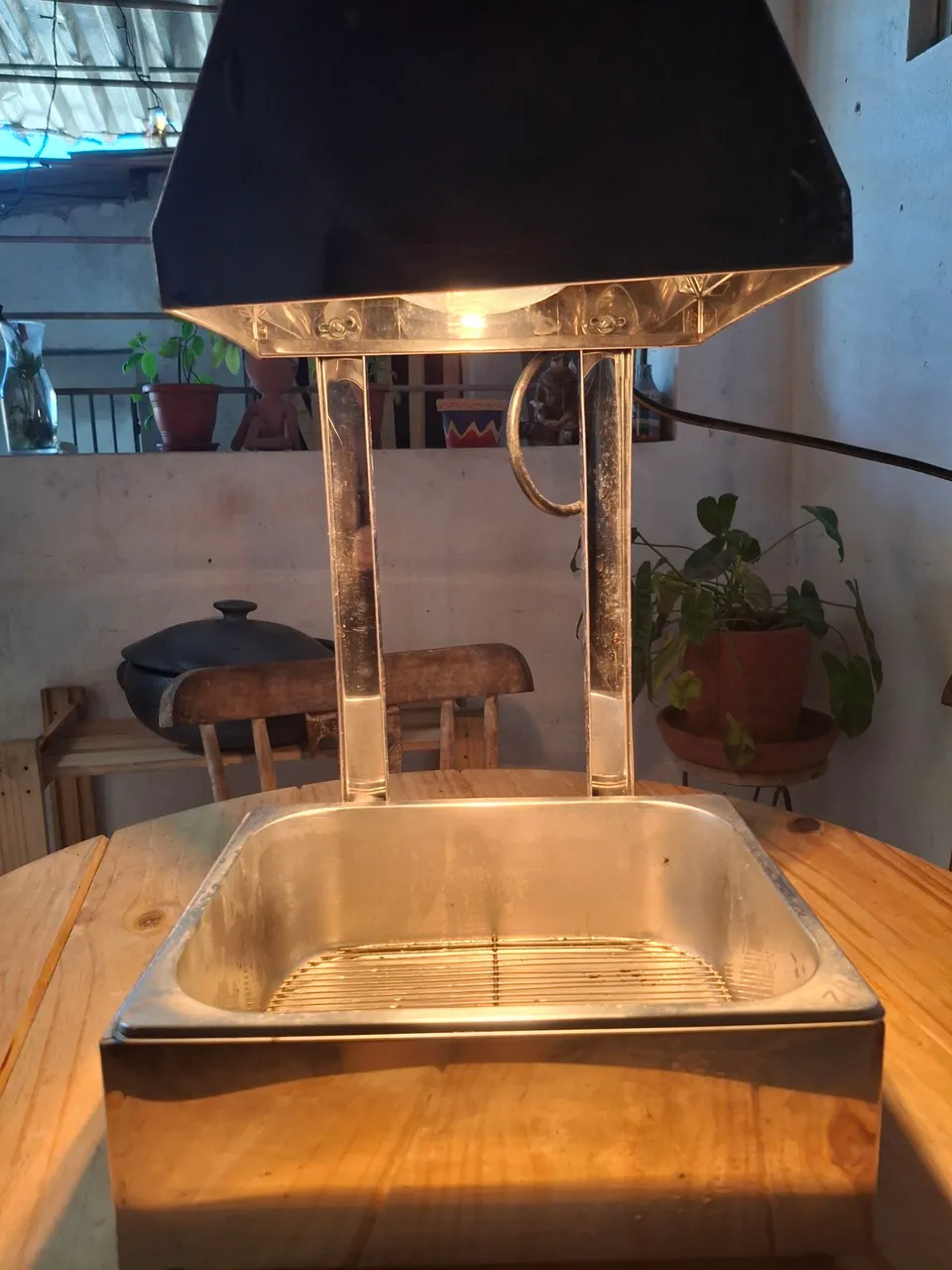 Aquecedor de Alimentos Profissional