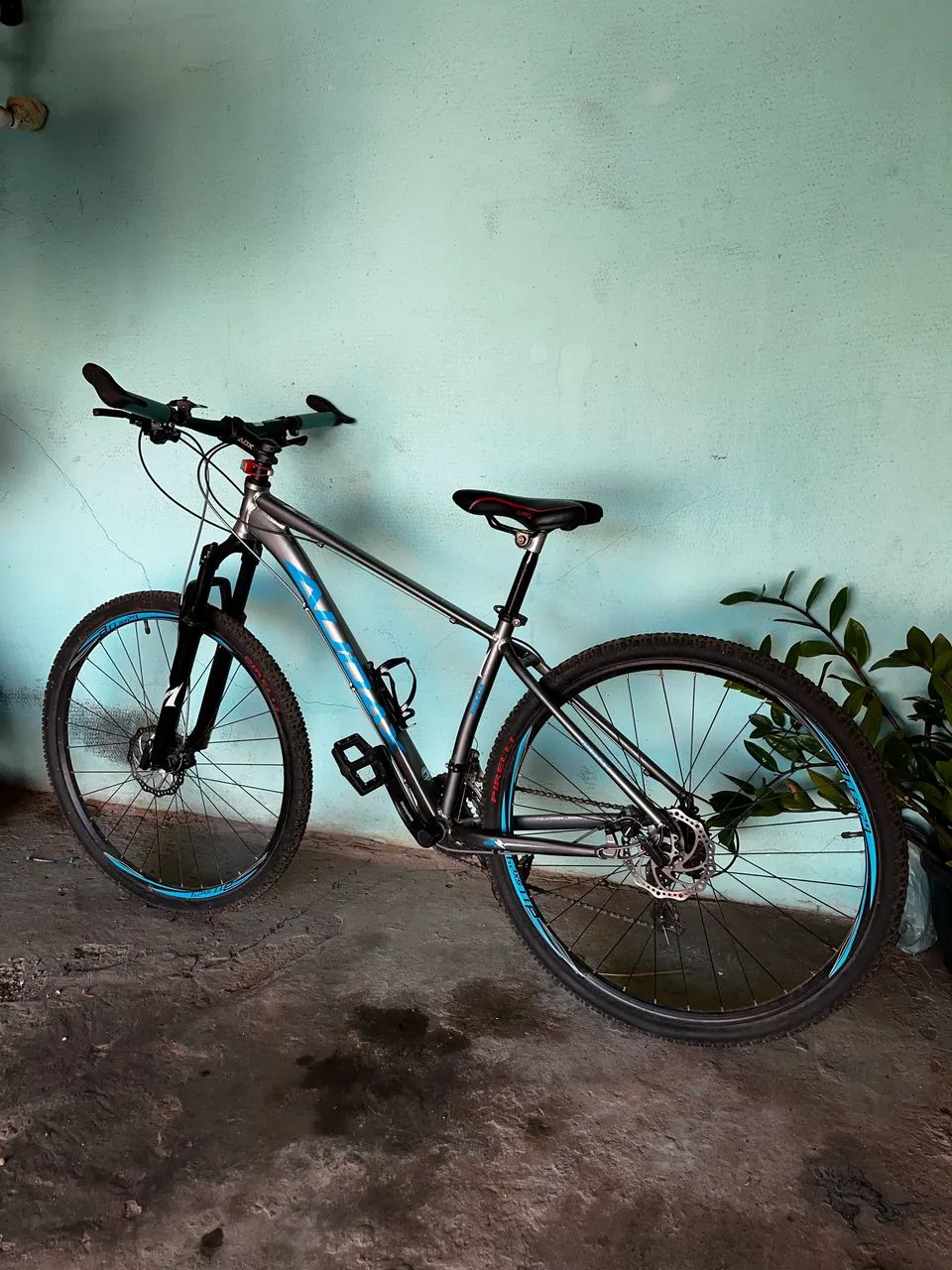 Audax Havok SX