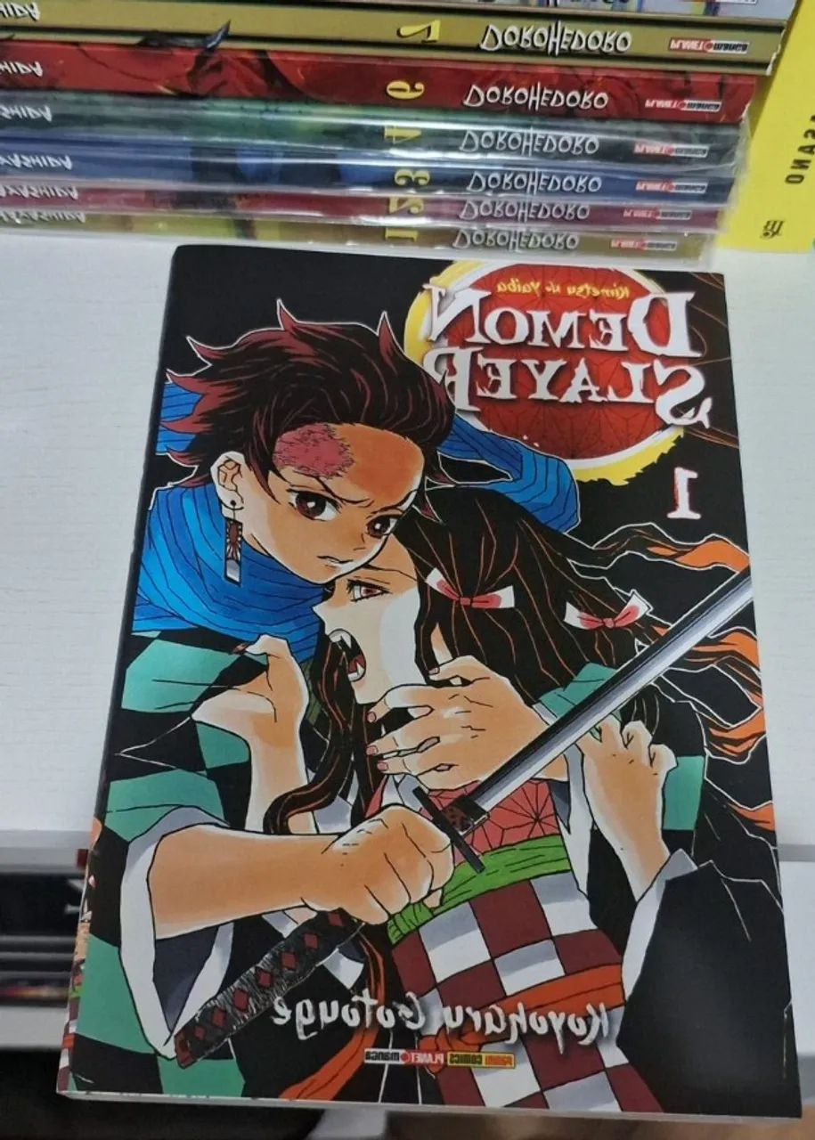 Mangá demon slayer volume 1 e 2
