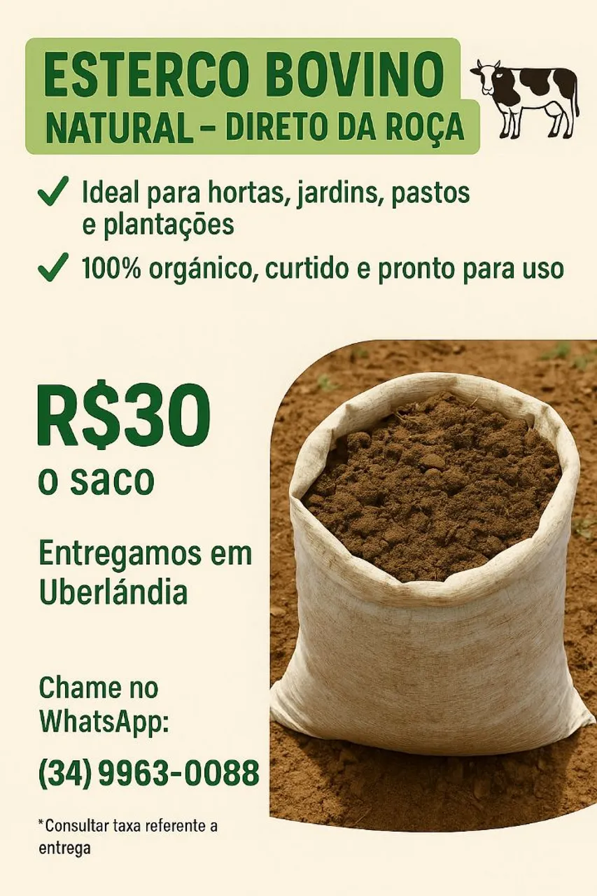 Esterco Bovino
