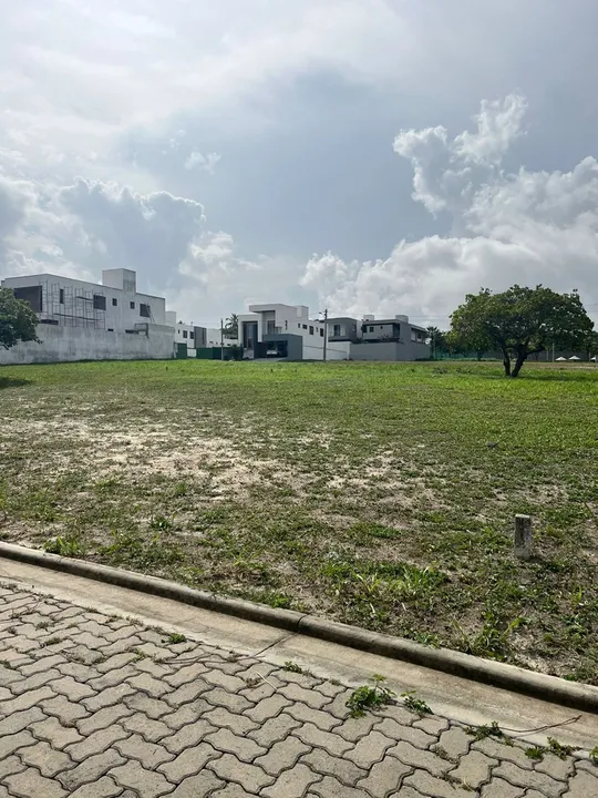 Terra Brasilis Eusebio - 256m