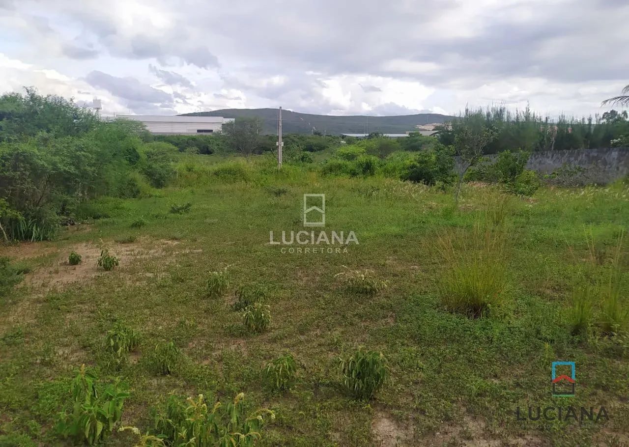 Lotes de 1000m² para venda pertinho da BR-232 e da Via Local - Gravatá/PE - Foto 3