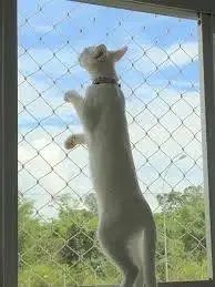 Redes de proteção  - Foto 3