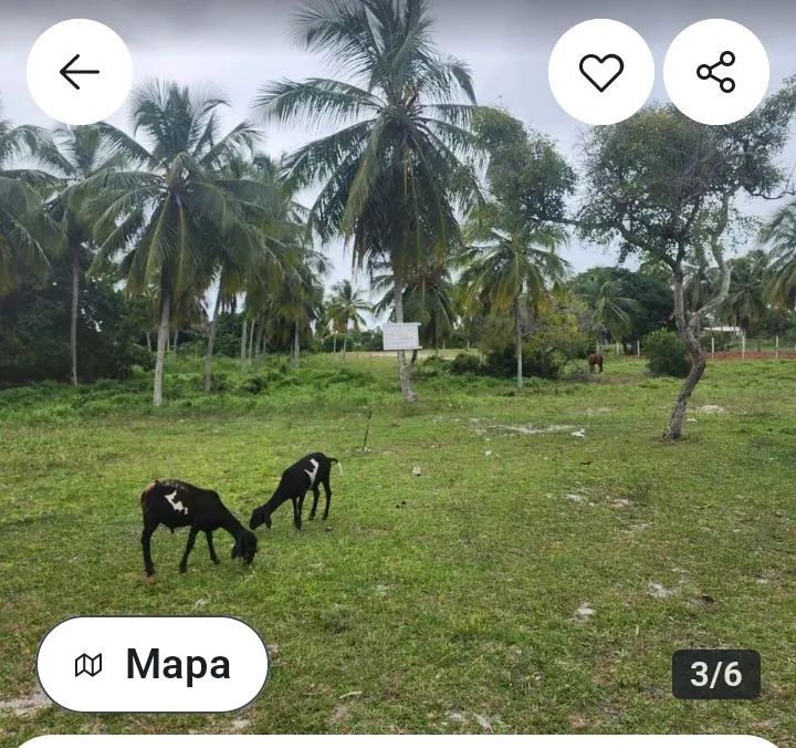 4 Lotes perto da Praia do Saco por $22.000,00 cada  - Foto 3