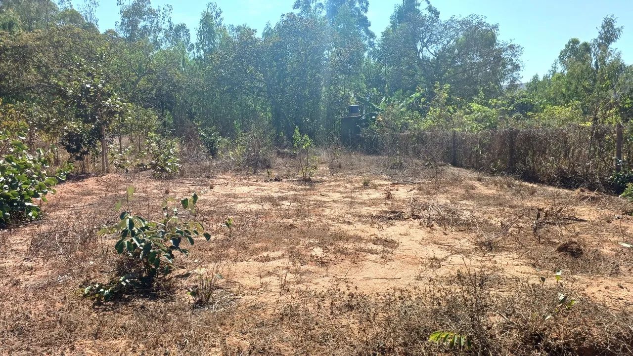 Lote em zona rural d lontra  - Foto 4