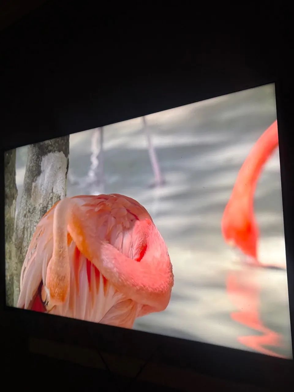 Televisão LG 55 Polegadas - Smart TV 4K - Foto 4