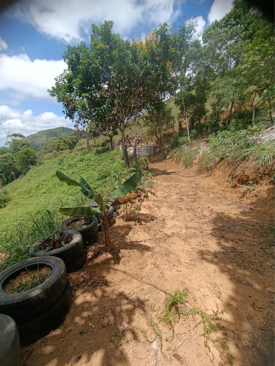 Vendo chácara  - Foto 3
