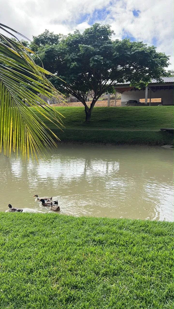 Chácara a venda, a 5 km do centro de Colatina  - Foto 5