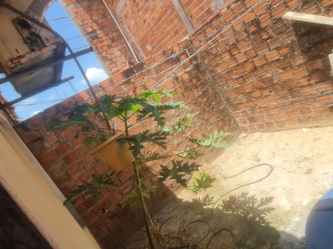 Casa na vila cafeteira  - Foto 5