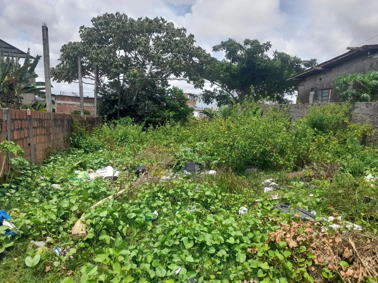 Foto - Olinda - Fragoso
