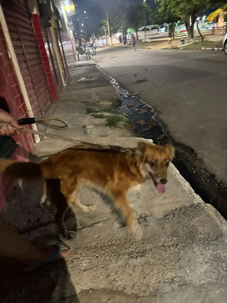 Doação 