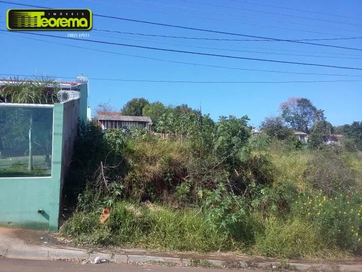 4 EXCELENTES TERRENOS URBANOS - ÁREA 7 - Foto 4