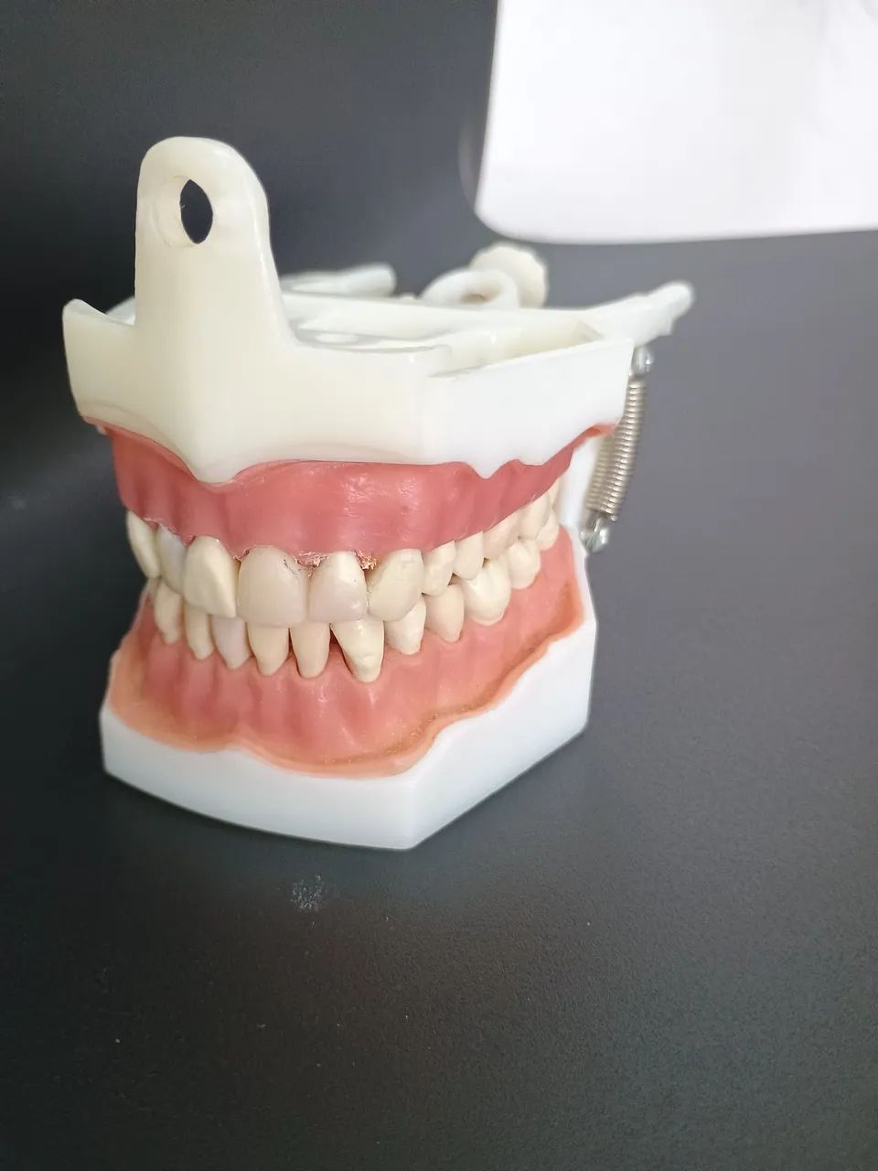 Manequins Odontológicos  - Foto 4