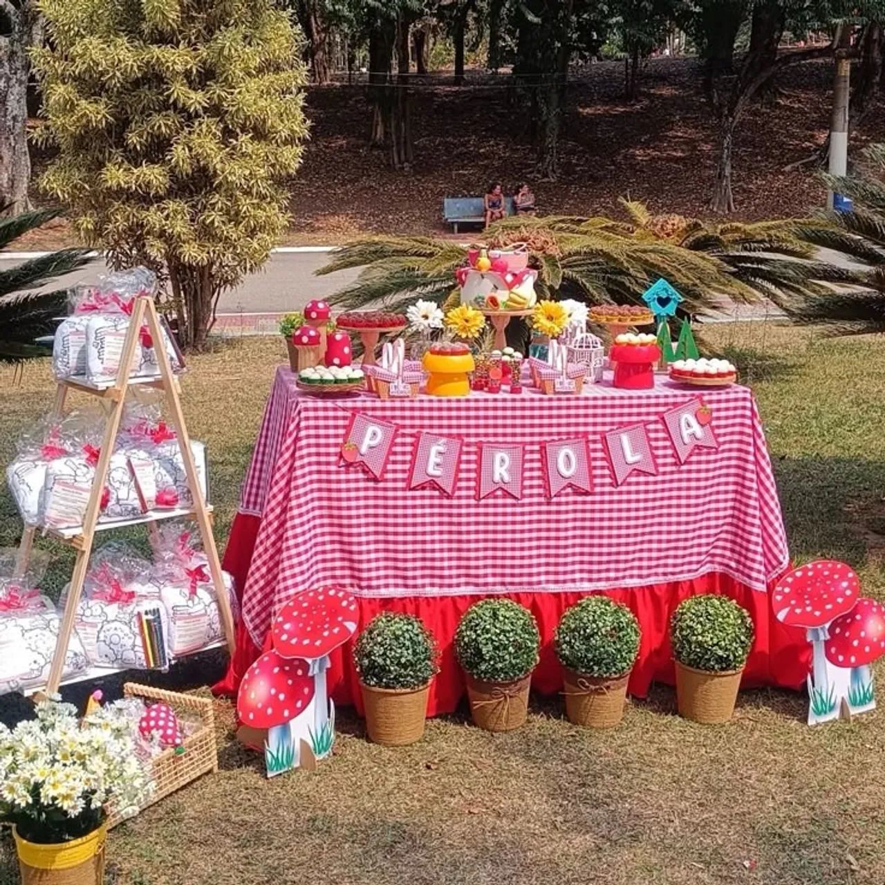 Pegue monte e decoração de festa  - Foto 2