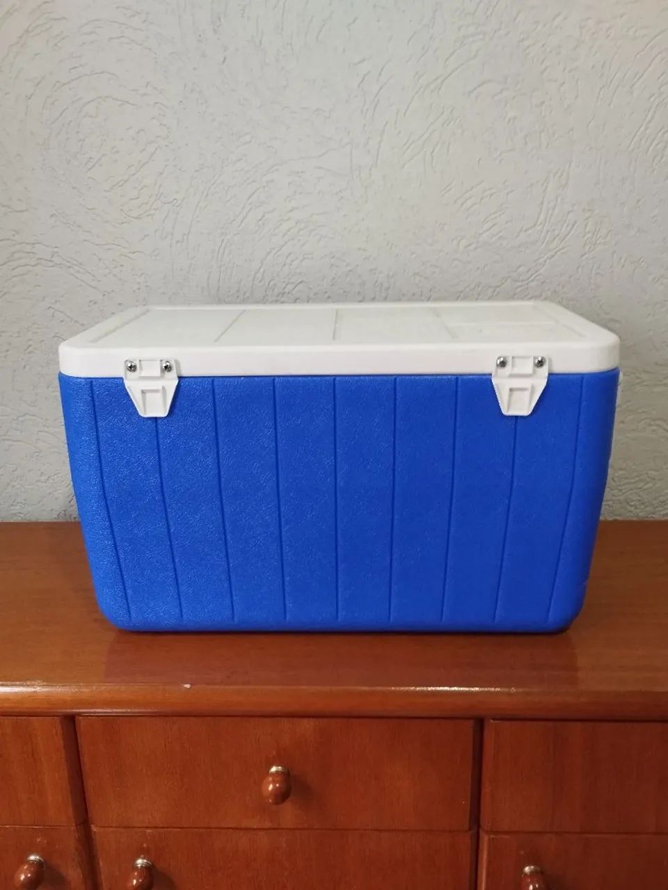 Caixa térmica com termômetro 45l.  - Foto 5