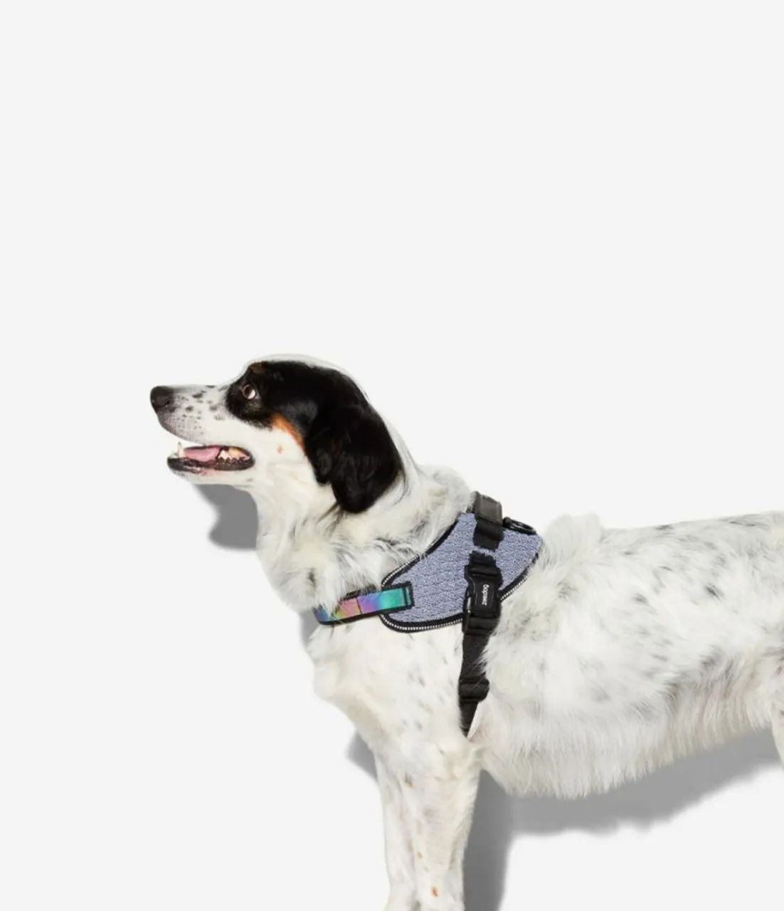 Peitoral Flayharness Zee.Dog Modelo Urban Tamanho 01 **PROMOÇÃO** - Foto 5