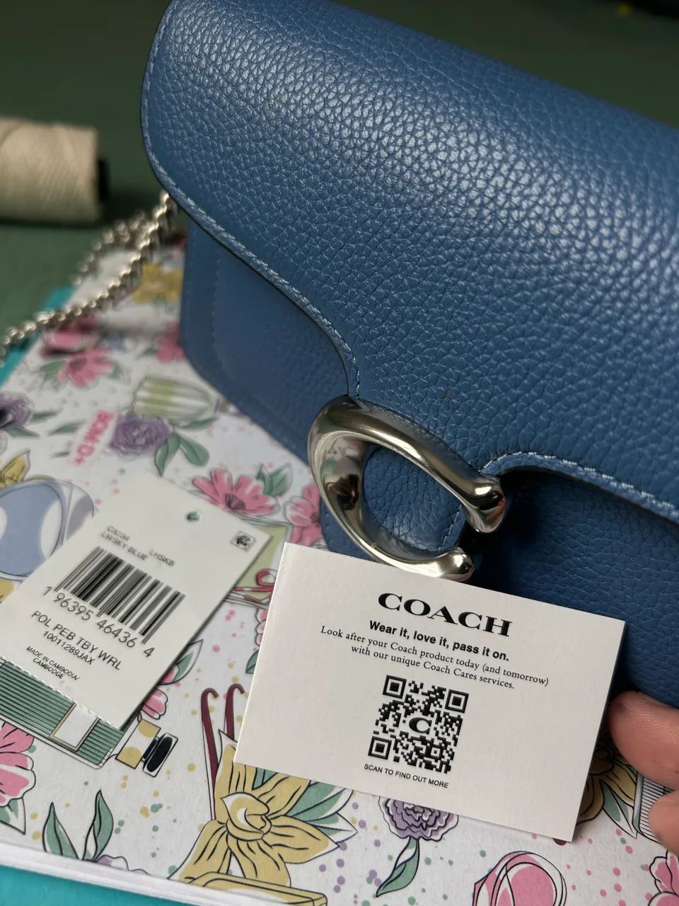 Bolsa tabby 19