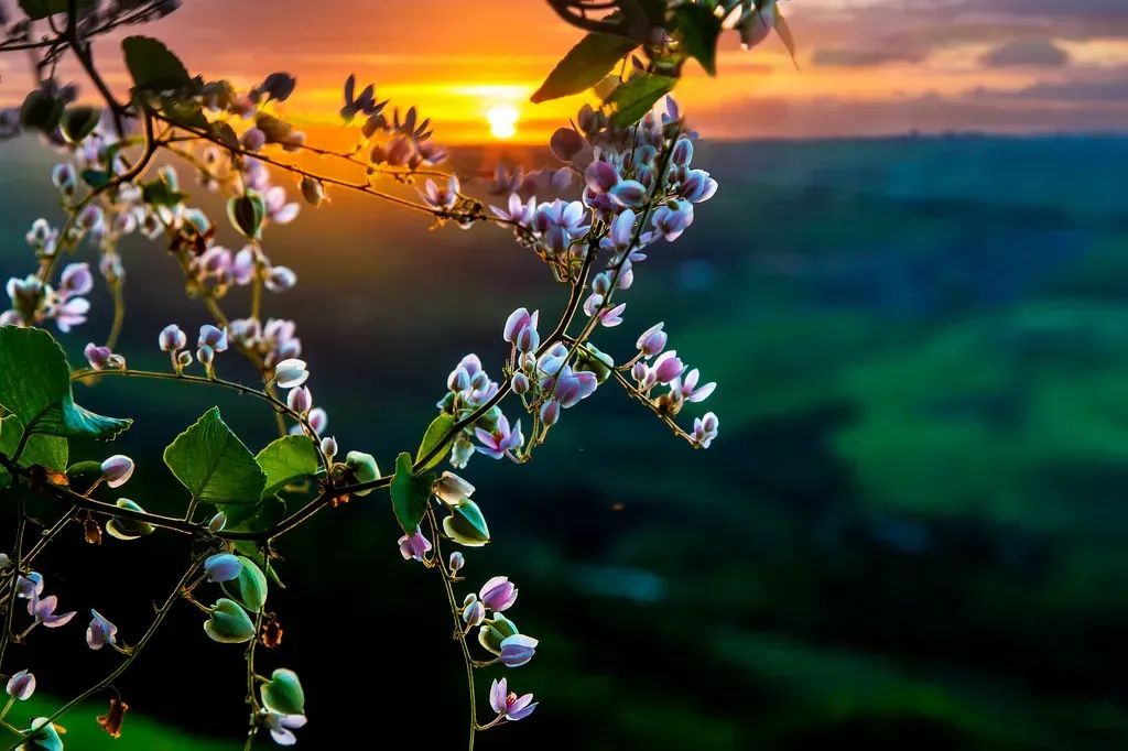 Área na Serra do Maroto, Ótimo Preço - Gravatá - PE - Foto 2