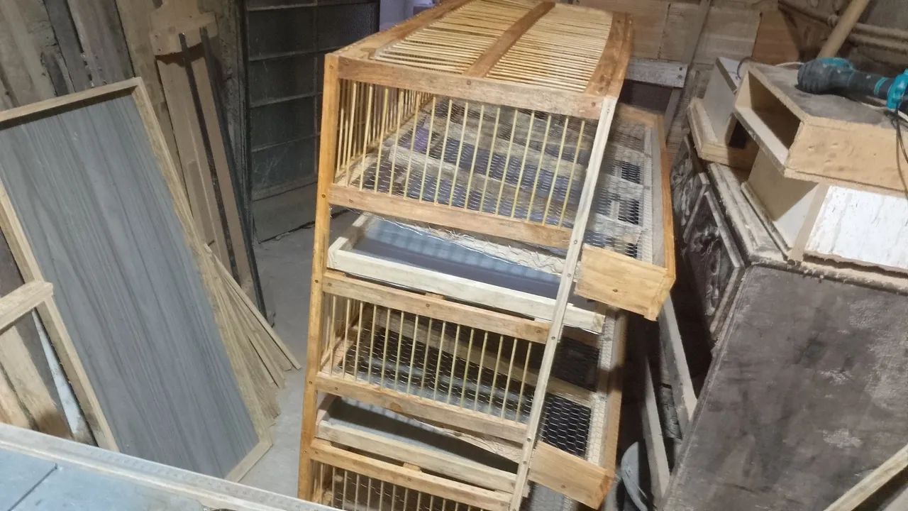 Viveiro para codornas em bh com bandejas galvanizada - Foto 5
