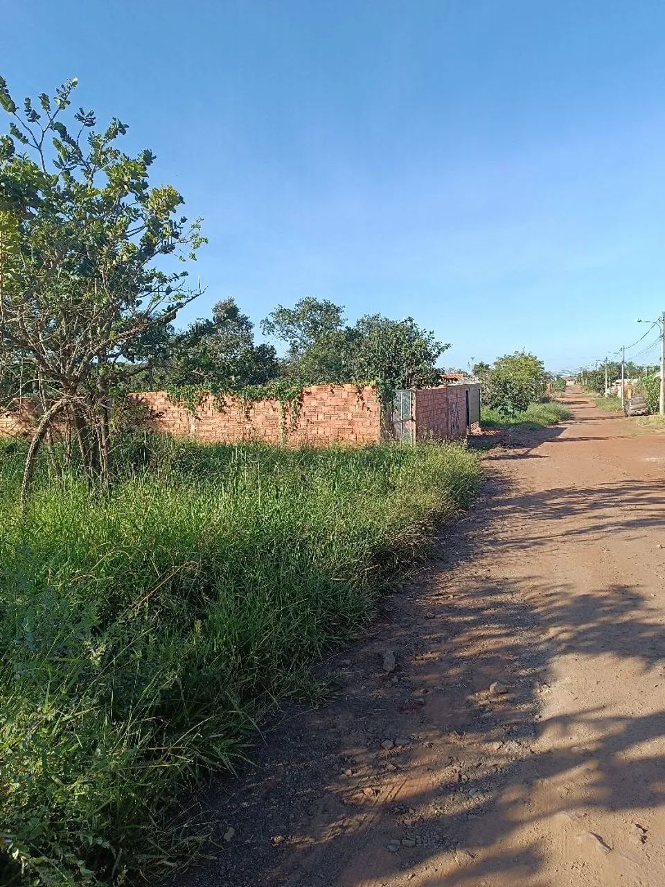 Terreno região vila Nasser  - Foto 4