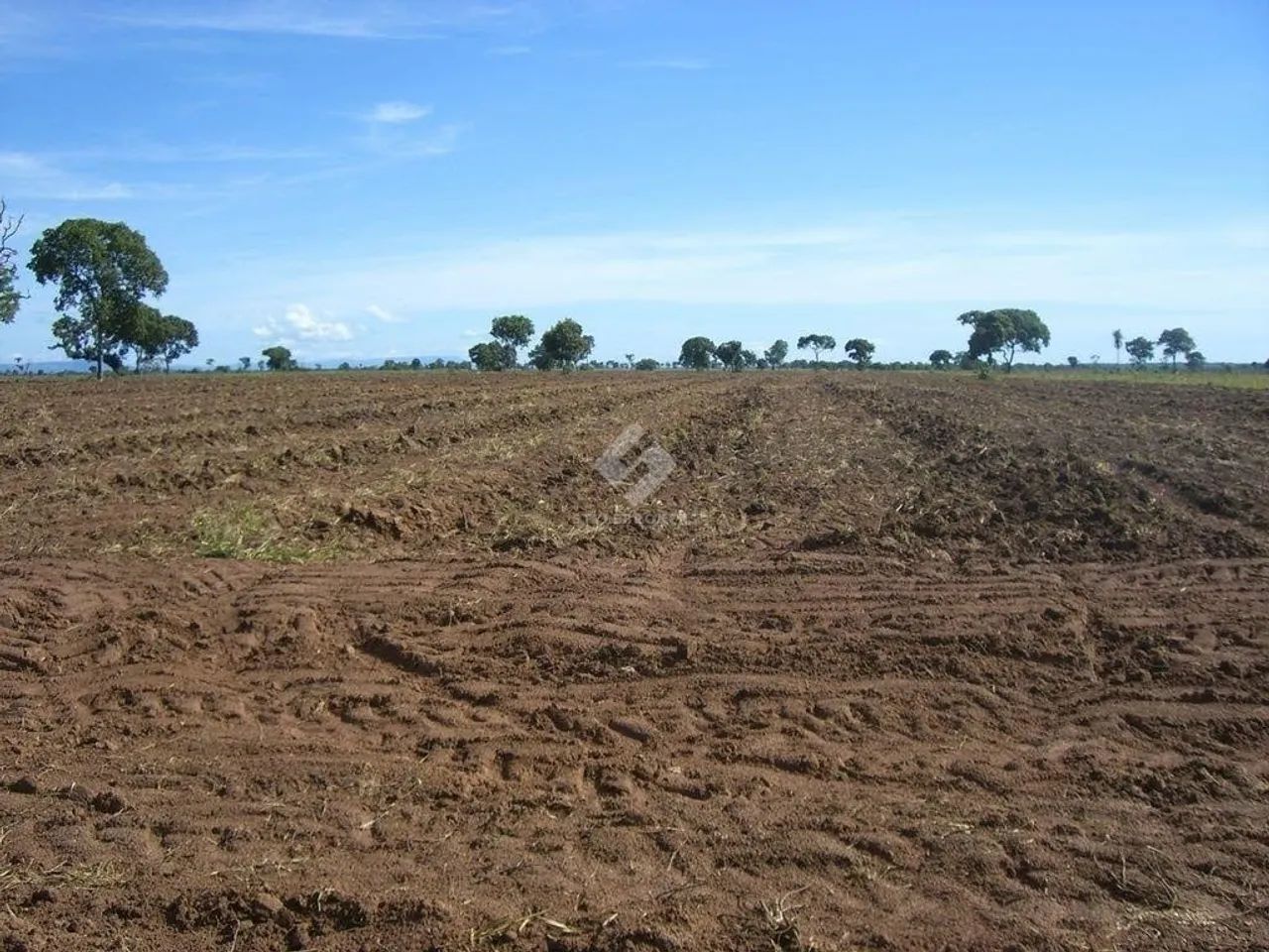 Fazenda em Caceres/MT - Foto 5
